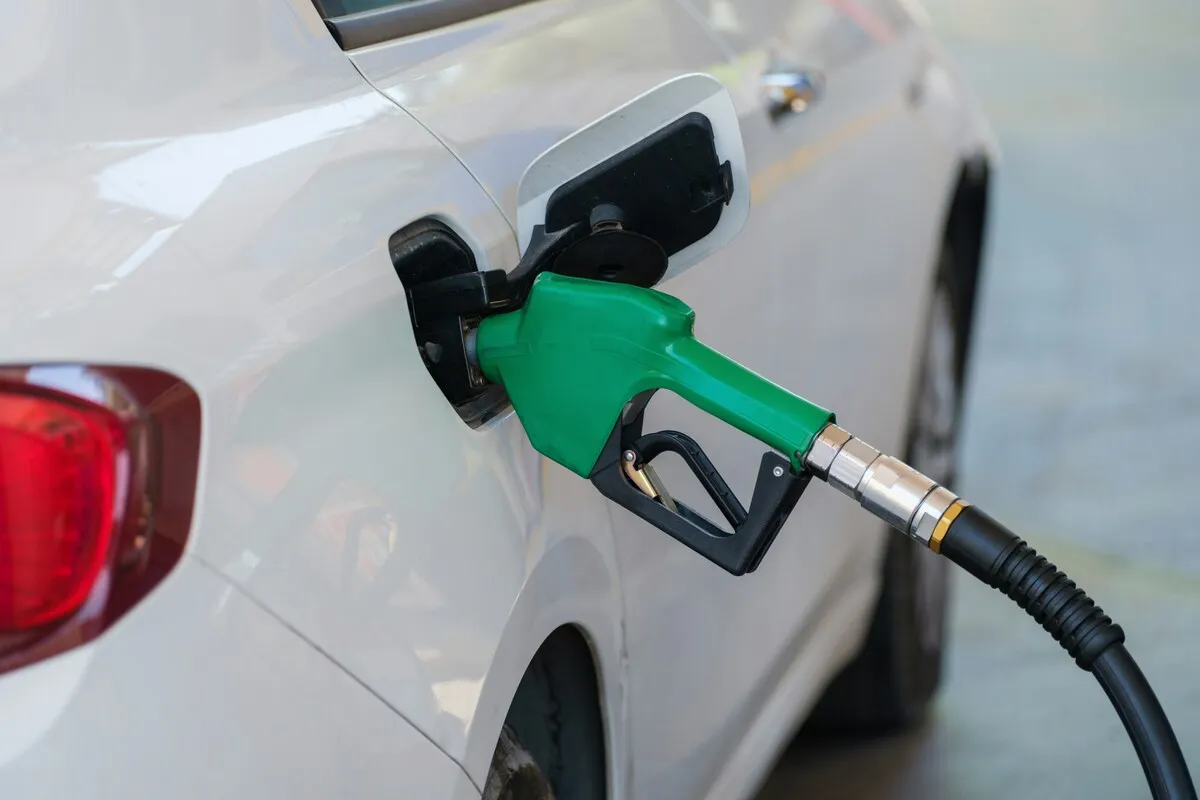 harga migas Palopo 01-14 februari 2025 untuk Biodiesel B40 dan MFO